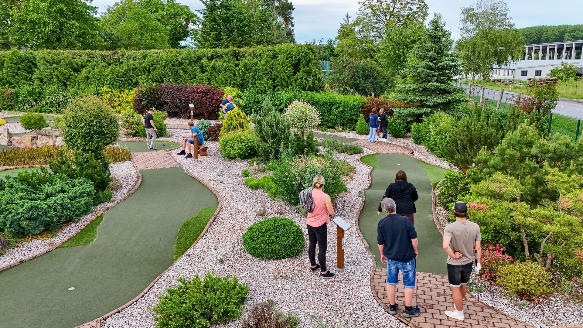 golf2.jpg