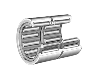 RNA_ZW.png